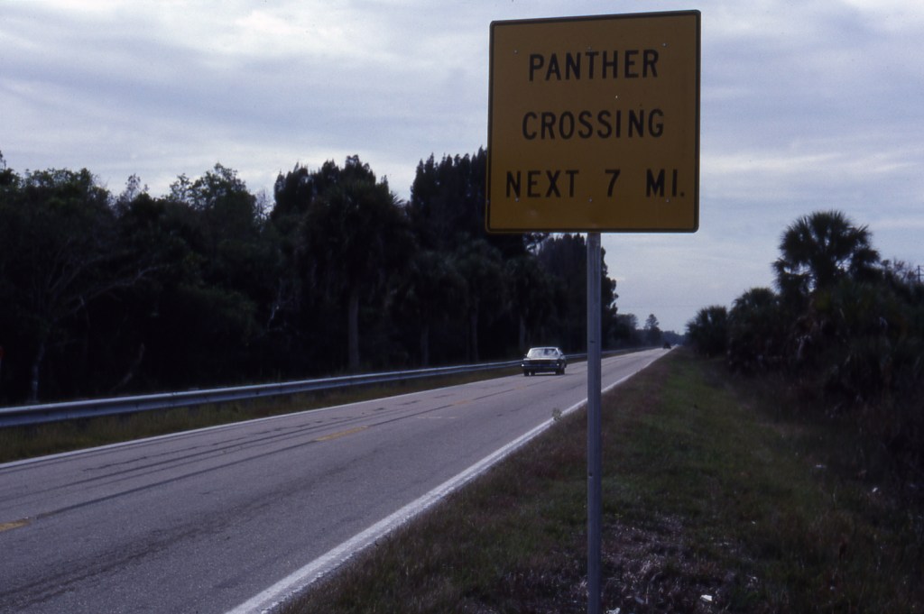 Road sign saying "Panther crossing"
